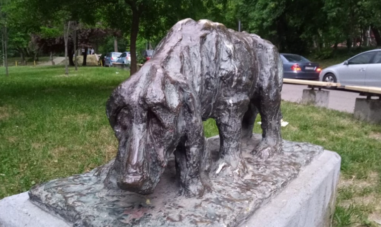 cocker spániel tigris