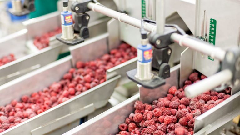 digitalizáció élelmiszeripar