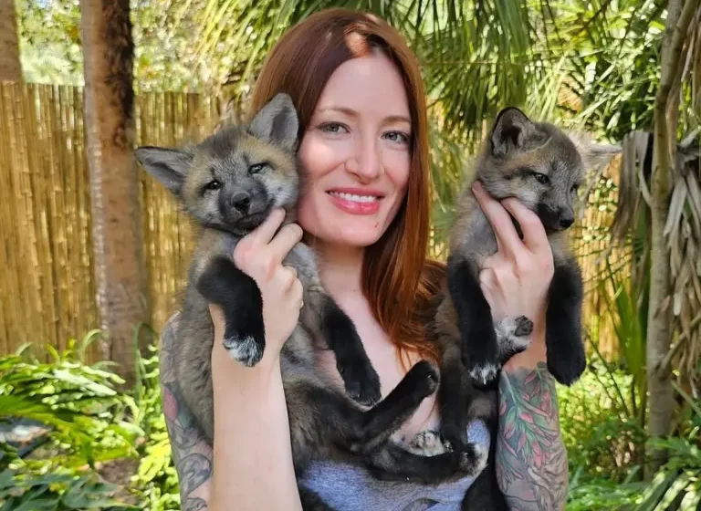 Mikayla Raines állatvédő öngyilkosság