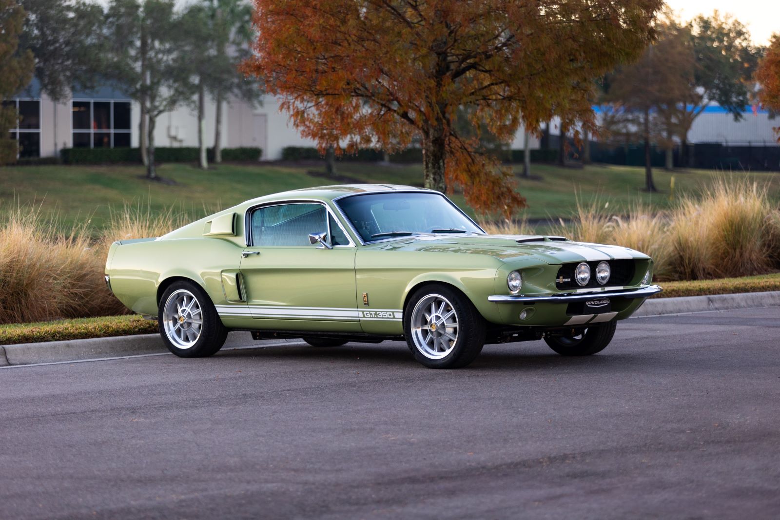 mustang