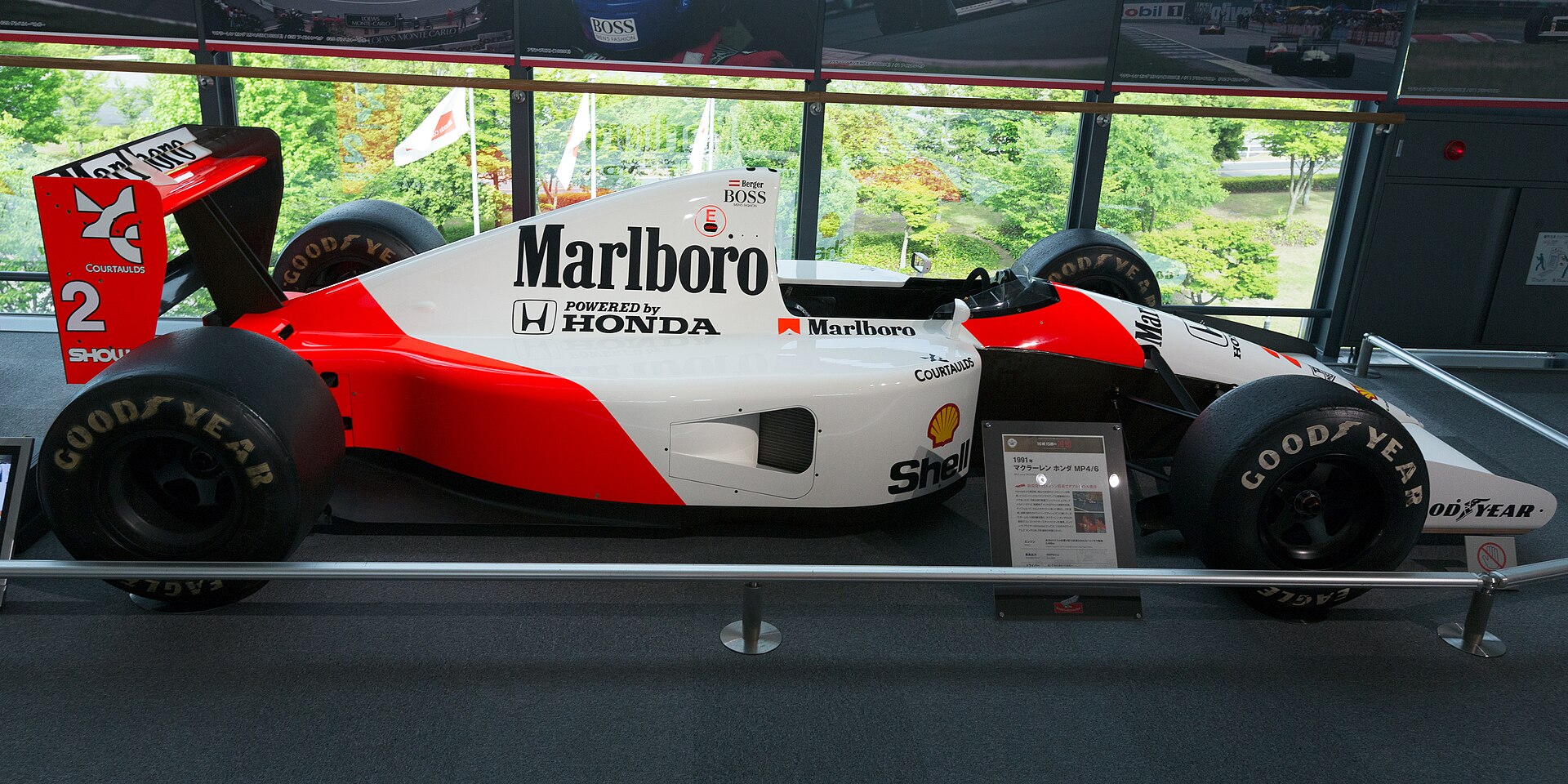 senna